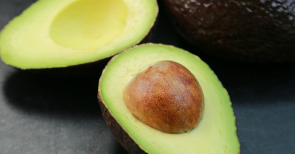Avocado
